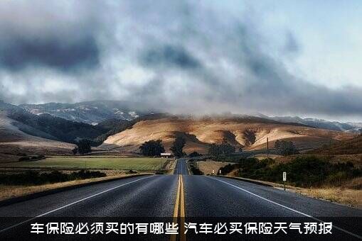 车保险必须买的有哪些（汽车必买保险天气预报）