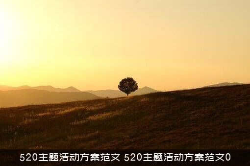 520主题活动方案范文（520主题活动方案范文0）
