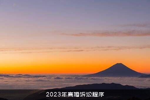 2023年离婚诉讼程序
