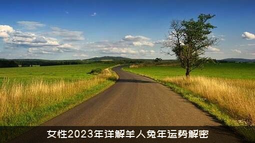 女性2023年详解羊人兔年运势解密