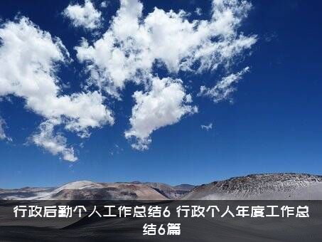 行政后勤个人工作总结6（行政个人年度工作总结6篇）