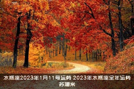 水瓶座2023年1月11号运势（2023年水瓶座全年运势苏珊米）
