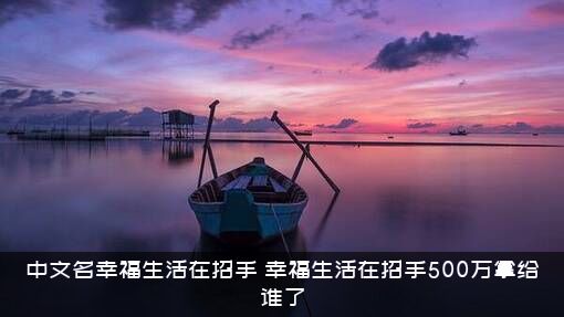 中文名幸福生活在招手（幸福生活在招手500万拿给谁了）