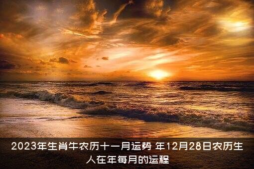 2023年生肖牛农历十一月运势（年12月28日农历生人在年每月的运程）