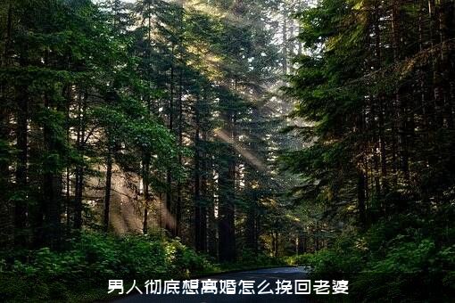 男人彻底想离婚怎么挽回老婆