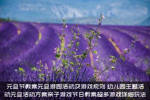 元旦节教案元旦游园活动及游戏规则（幼儿园主题活动元旦活动方案亲子游戏节日教案超多游戏详细玩法）