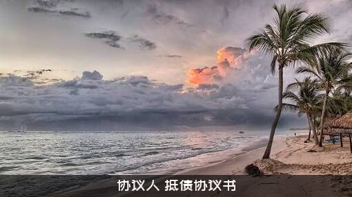协议人（抵债协议书）
