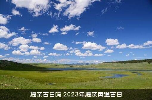 提亲吉日吗（2023年提亲黄道吉日）