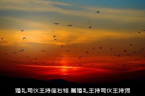 婚礼司仪主持座右铭（篇婚礼主持司仪主持词）