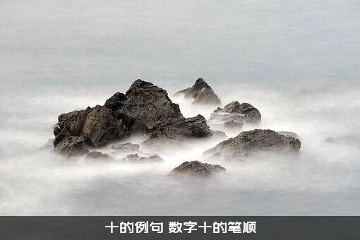 十的例句（数字十的笔顺）