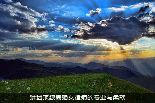 讲述顶级离婚女律师的专业与柔软