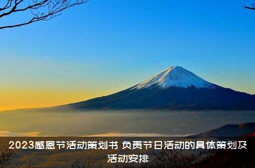 2023感恩节活动策划书（负责节日活动的具体策划及活动安排）