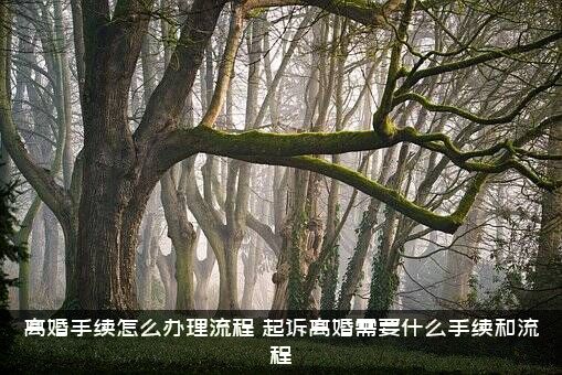 离婚手续怎么办理流程（起诉离婚需要什么手续和流程）