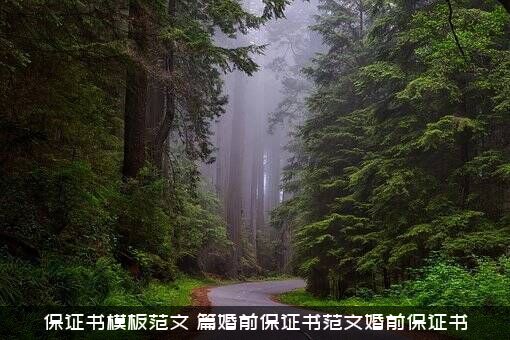 保证书模板范文（篇婚前保证书范文婚前保证书）