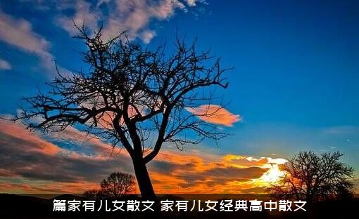 篇家有儿女散文（家有儿女经典高中散文）