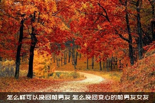 怎么样可以挽回前男友（怎么挽回变心的前男友女友）