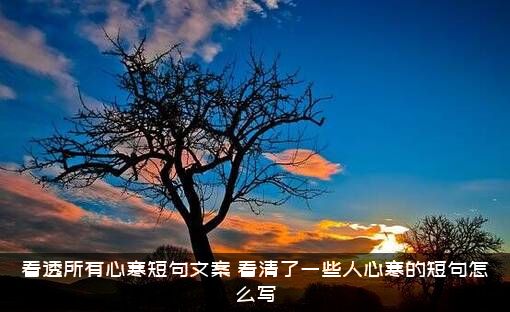 看透所有心寒短句文案（看清了一些人心寒的短句怎么写）