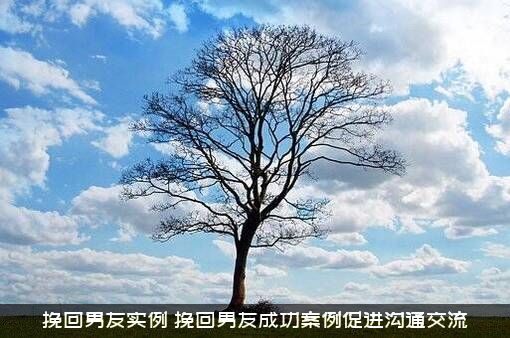 挽回男友实例（挽回男友成功案例促进沟通交流）