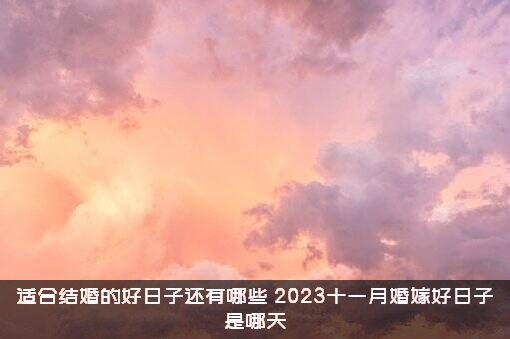 适合结婚的好日子还有哪些（2023十一月婚嫁好日子是哪天）