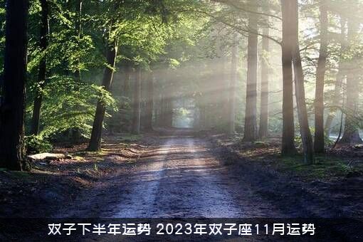 双子下半年运势（2023年双子座11月运势）