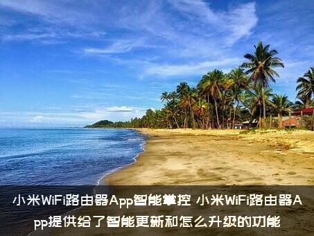 小米WiFi路由器App智能掌控，小米WiFi路由器App提供给了智能更新和怎么升级的功能？