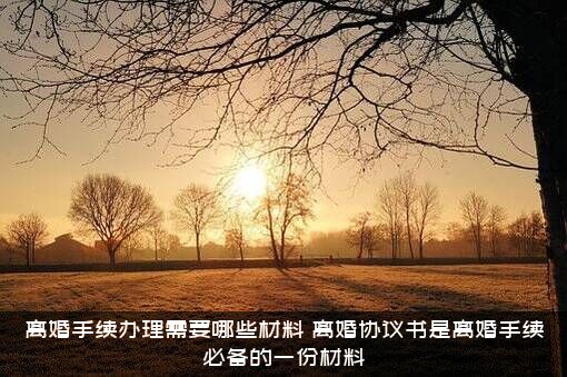 离婚手续办理需要哪些材料？离婚协议书是离婚手续必备的一份材料