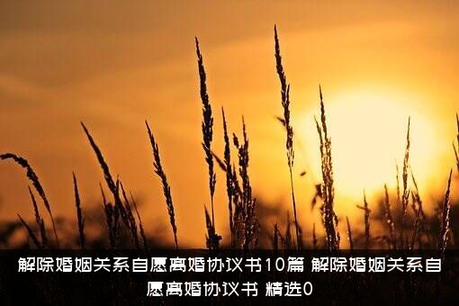 解除婚姻关系自愿离婚协议书10篇，解除婚姻关系自愿离婚协议书，精选0