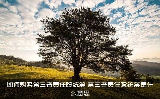 如何购买第三者责任险统筹（第三者责任险统筹是什么意思）