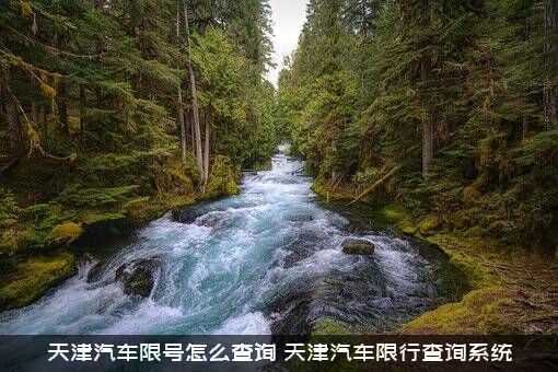 天津汽车限号怎么查询（天津汽车限行查询系统）