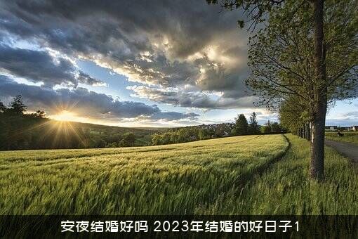 安夜结婚好吗（2023年结婚的好日子1）
