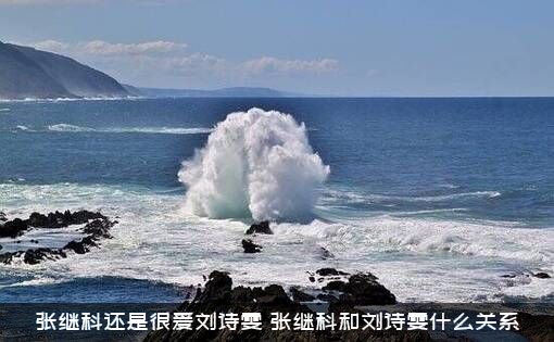 张继科还是很爱刘诗雯（张继科和刘诗雯什么关系）
