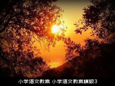 小学语文教案（小学语文教案模板3）
