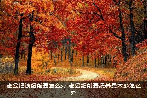 老公把钱给前妻怎么办？老公给前妻抚养费太多怎么办？