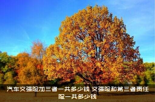 汽车交强险加三者一共多少钱（交强险和第三者责任险一共多少钱）