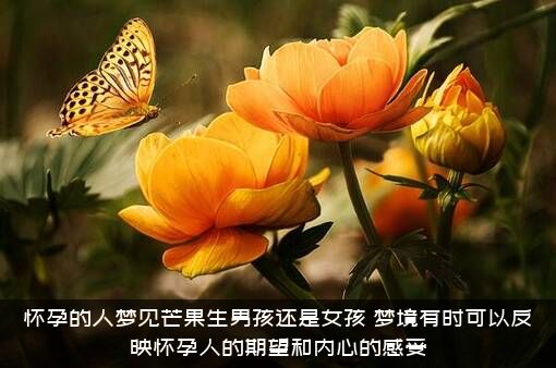 怀孕的人梦见芒果生男孩还是女孩，梦境有时可以反映怀孕人的期望和内心的感受？