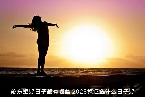 煞东婚好日子都有哪些（2023领证选什么日子好）