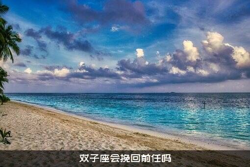 双子座会挽回前任吗