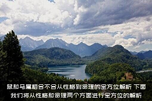 鼠和马属相合不合从性格到命理的全方位解析，下面我们将从性格和命理两个方面进行全方位的解析