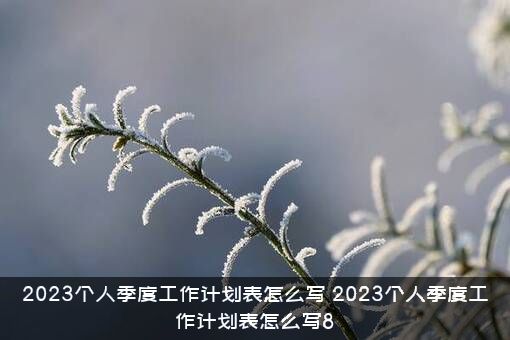 2023个人季度工作计划表怎么写？2023个人季度工作计划表怎么写8？