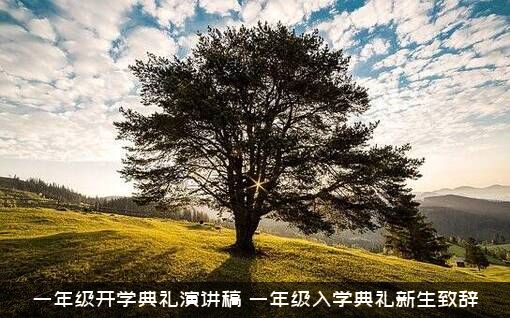 一年级开学典礼演讲稿（一年级入学典礼新生致辞）