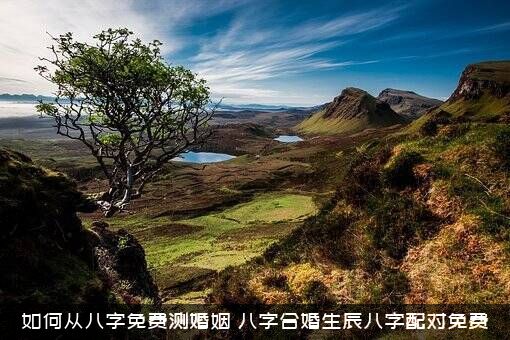 如何从八字免费测婚姻（八字合婚生辰八字配对免费）