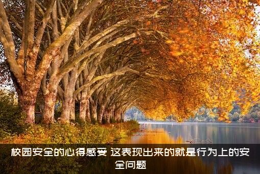 校园安全的心得感受（这表现出来的就是行为上的安全问题）