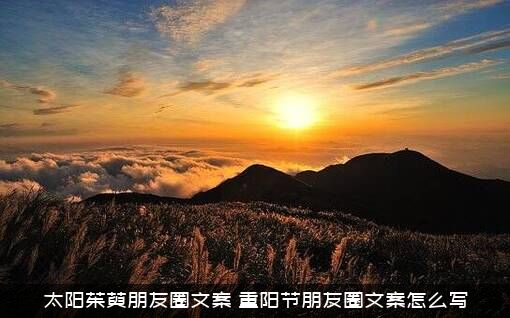 太阳茱萸朋友圈文案（重阳节朋友圈文案怎么写）