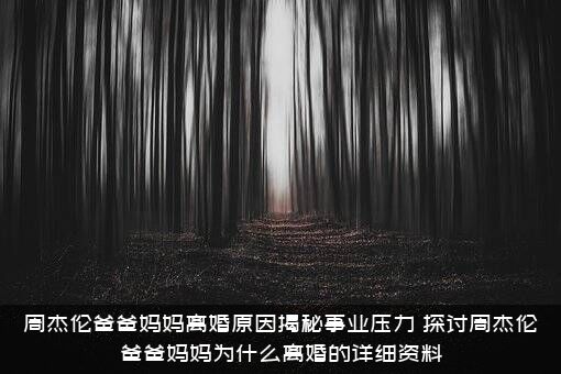 周杰伦爸爸妈妈离婚原因揭秘事业压力，探讨周杰伦爸爸妈妈为什么离婚的详细资料？