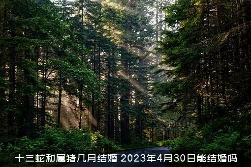 十三蛇和属猪几月结婚（2023年4月30日能结婚吗）