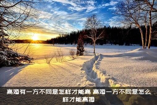 离婚有一方不同意怎样才能离（离婚一方不同意怎么样才能离婚）