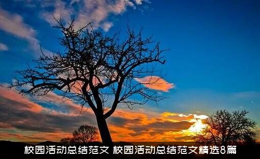 校园活动总结范文（校园活动总结范文精选8篇）