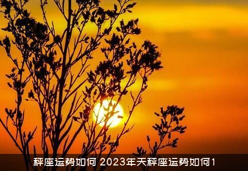 秤座运势如何（2023年天秤座运势如何1）
