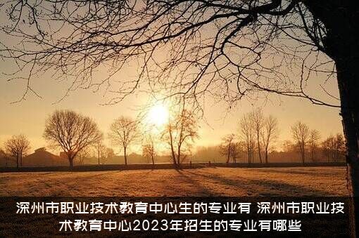 深州市职业技术教育中心生的专业有（深州市职业技术教育中心2023年招生的专业有哪些）