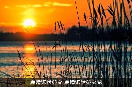 离婚诉状范文（离婚诉状范文第）
